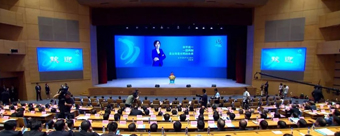 關(guān)于白蟻行為學(xué)的研究